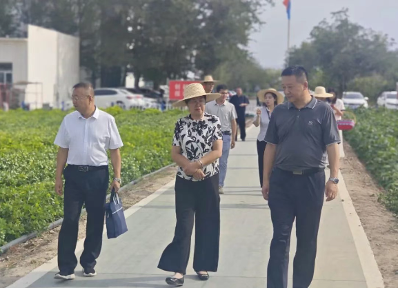 {b0900d4c-65c5-44cf-a6ba-64a209cfd7de} {b0900d4c-65c5-44cf-a6ba-64a209cfd7de}