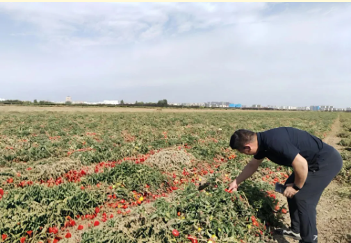 {be7b38b8-1265-4404-982f-567c038a19f9} {be7b38b8-1265-4404-982f-567c038a19f9}