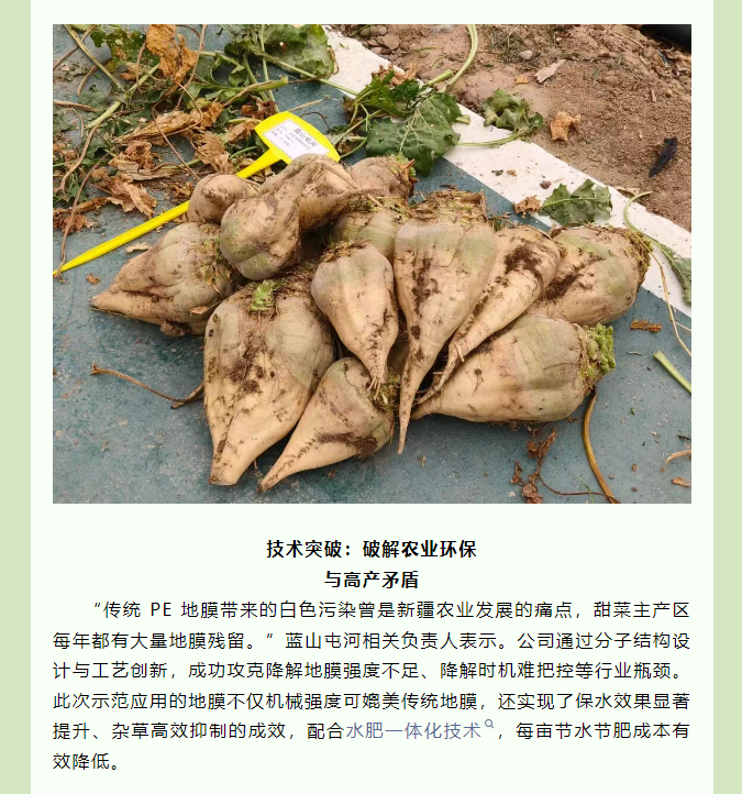 {1c0893c3-d57d-48e5-bba8-cce2909bb5c3} {1c0893c3-d57d-48e5-bba8-cce2909bb5c3}